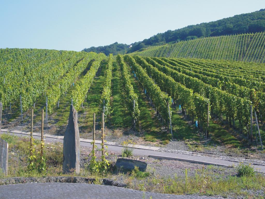 Christiana'S Wein & Art Hotel Bernkastel-Kues Exteriér fotografie