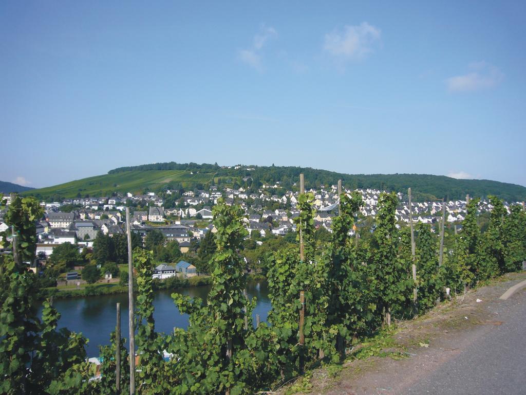 Christiana'S Wein & Art Hotel Bernkastel-Kues Exteriér fotografie