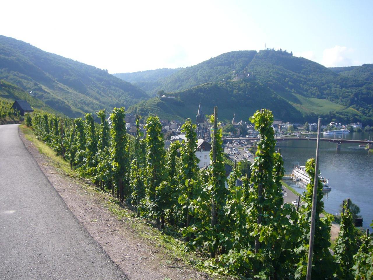 Christiana'S Wein & Art Hotel Bernkastel-Kues Exteriér fotografie